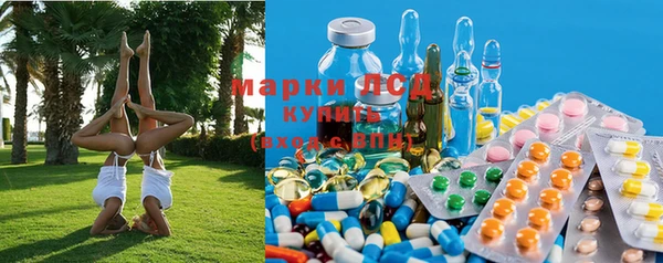 PSILOCYBIN Бугульма